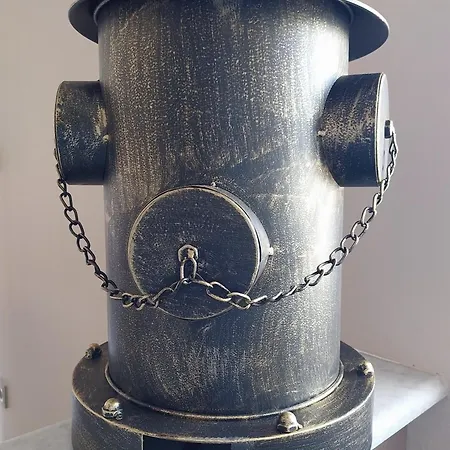 Mycoign * פאטרה