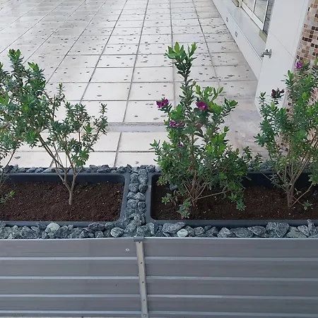 דירה Mycoign פאטרה