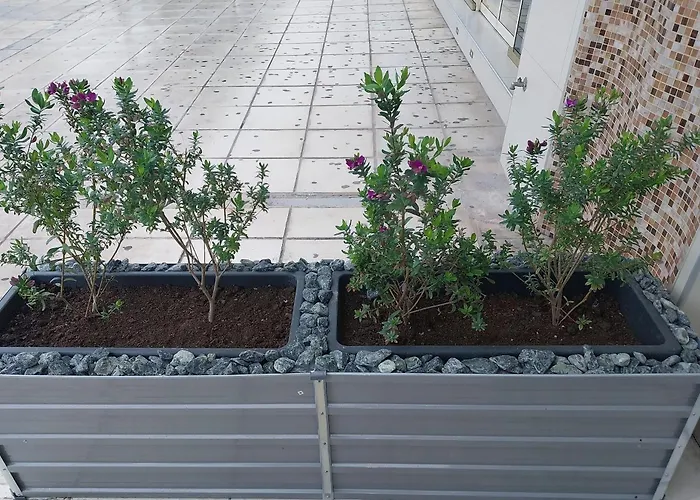 Апартаменты Mycoign Патра